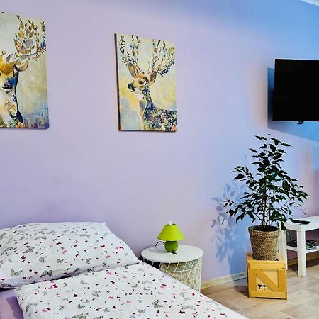 Garsonka Ve Dvore Dvur Kralove nad Labem Ngoại thất bức ảnh