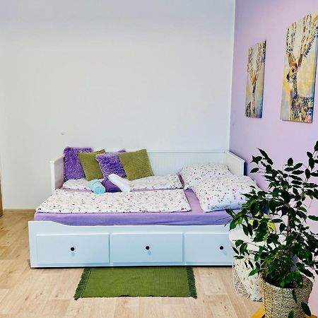 Garsonka Ve Dvore Dvur Kralove nad Labem Ngoại thất bức ảnh