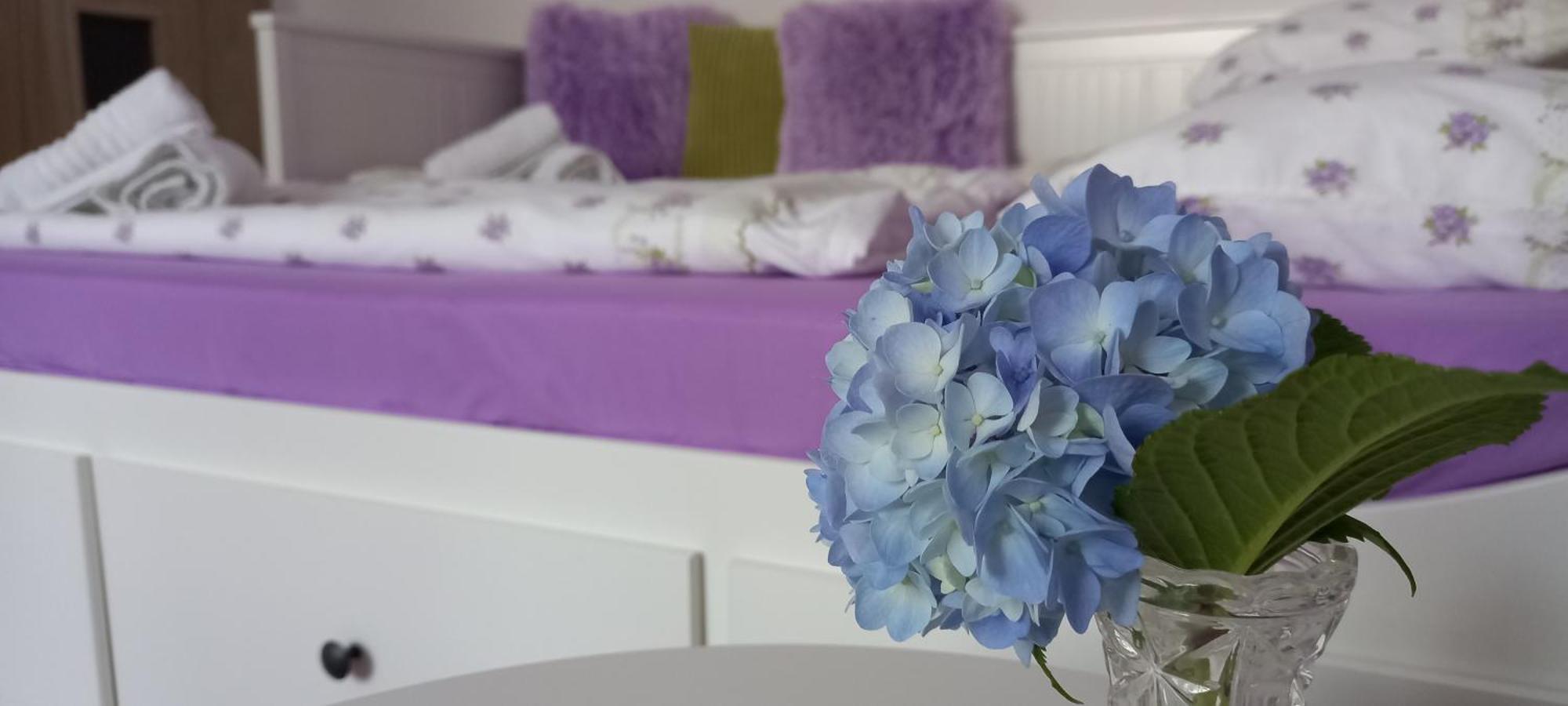 Garsonka Ve Dvore Dvur Kralove nad Labem Ngoại thất bức ảnh