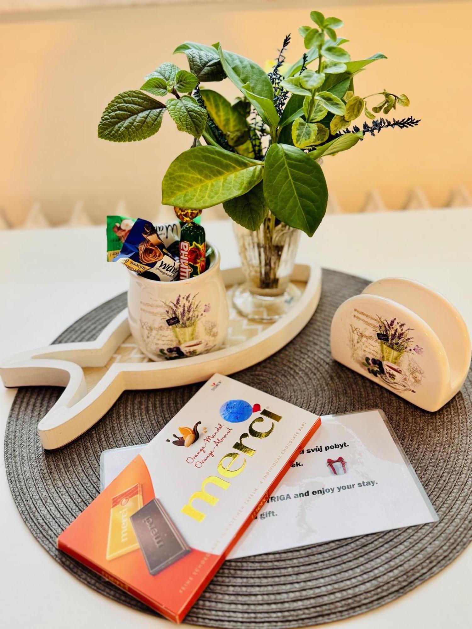 Garsonka Ve Dvore Dvur Kralove nad Labem Ngoại thất bức ảnh